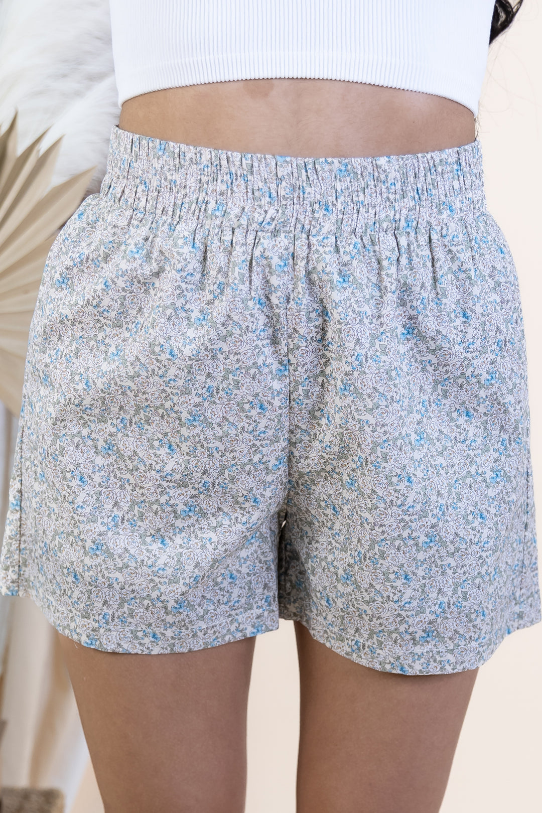 "Garden State" Shorts (Taupe/Blue)