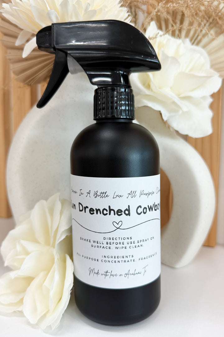 HIAB All Purpose Cleaner (Sun Drenched Cowboy)